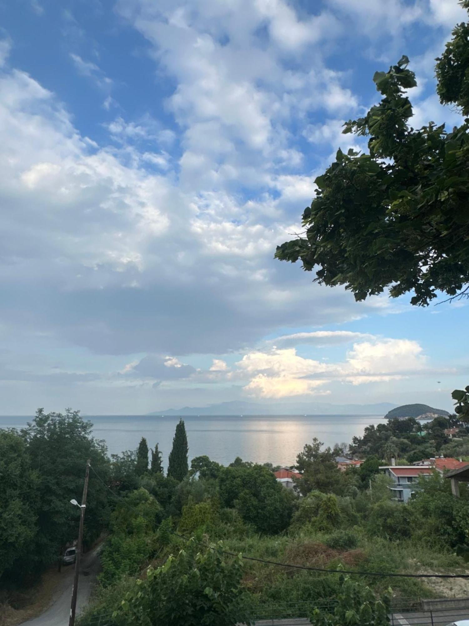 Olivia -Ελιά Appartement PalaiónTsiflíkion Buitenkant foto