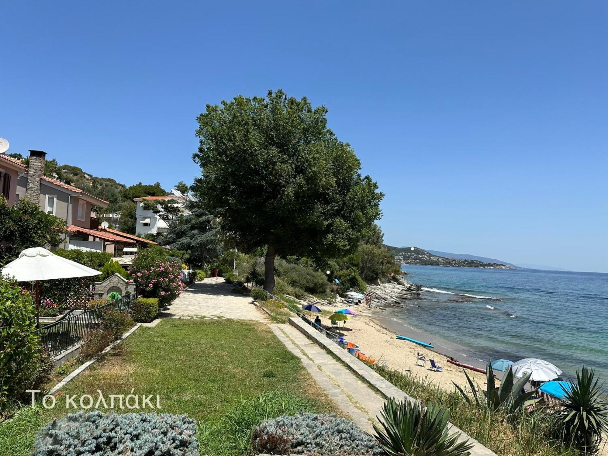 Olivia -Ελιά Appartement PalaiónTsiflíkion Buitenkant foto